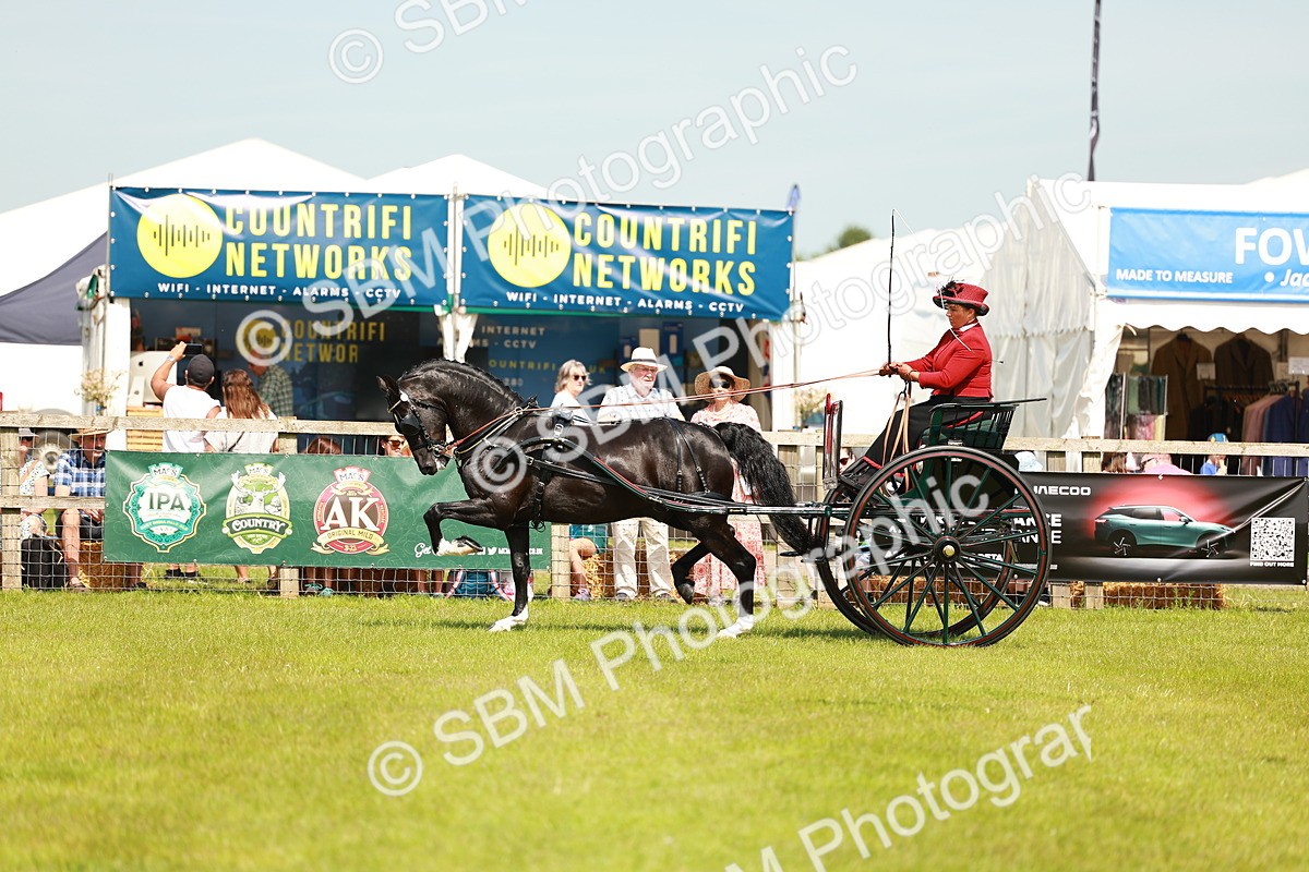 SBM_02879 - Class 2-4 - HOYS Private Driving