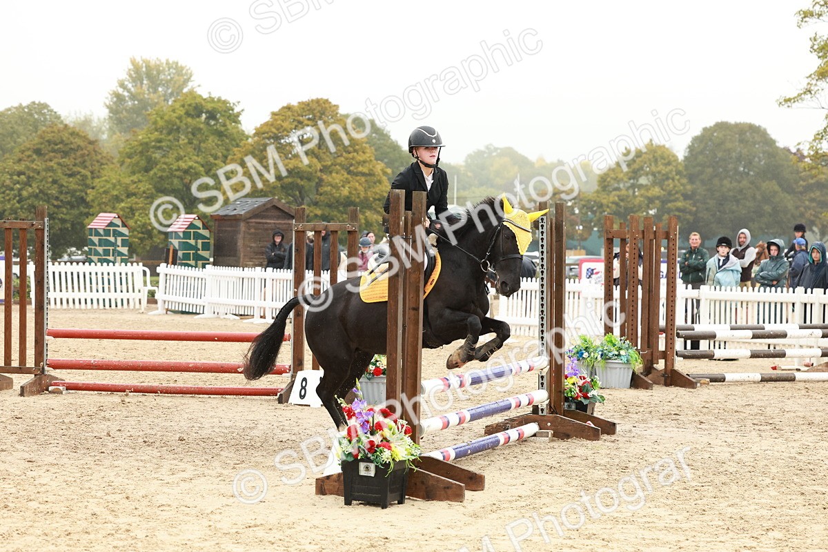 SBM_73319 - Supreme Championship Junior Pony 60cm & 65cm