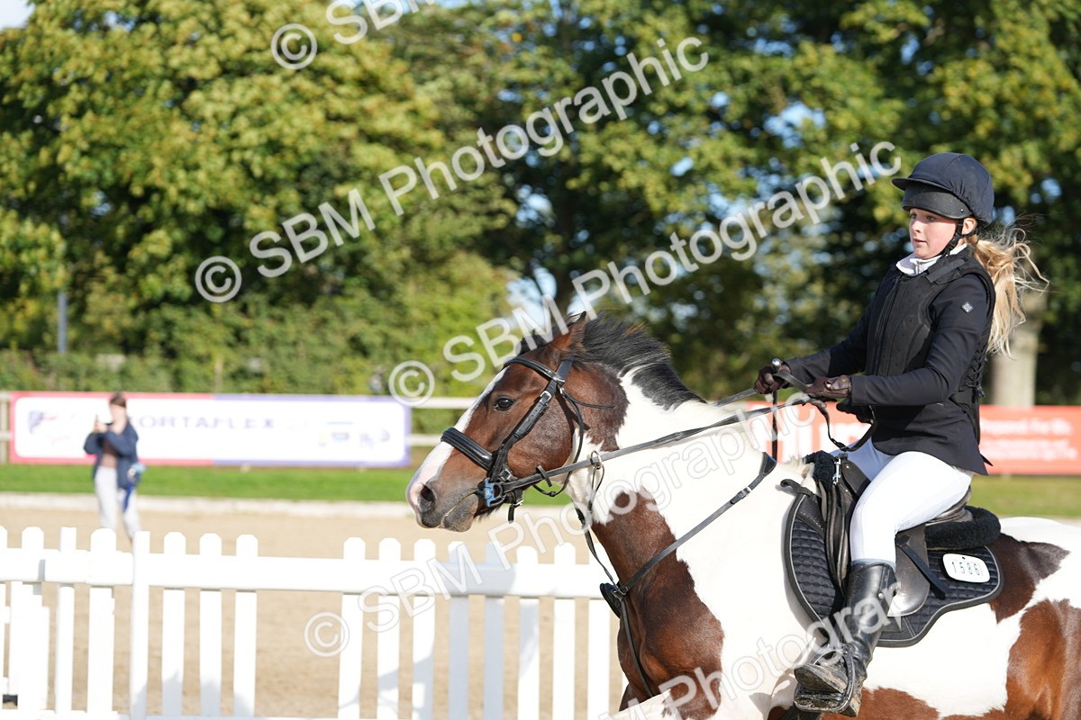 SBM_51027 - J8 - Junior Pony 65cm Championship
