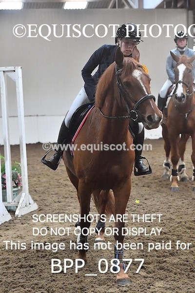 BPP_0877 - CLASS 2  0.85m Amateur Championship Qualifier