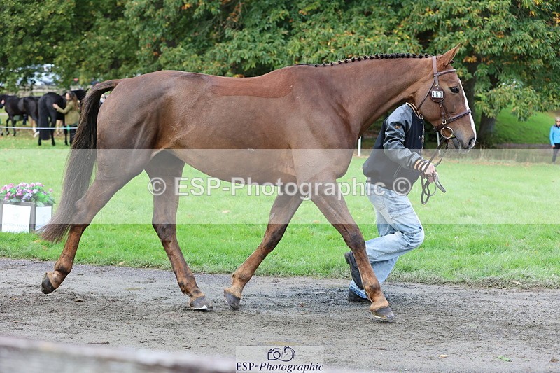 251026A-104140-23195 - F-460-Rueben.Kennah