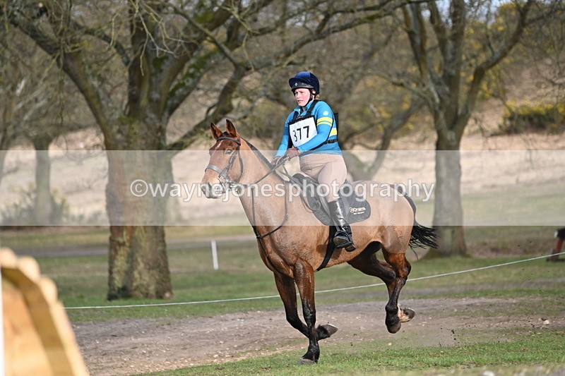 WJ6_5967 - Time 16:32 to 16:53