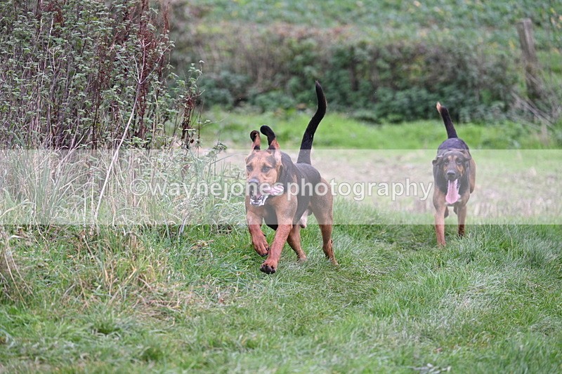 WJ7_8910 - Camera 1 only on this line