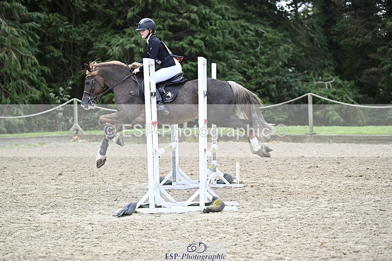 251005A-130307-04025 - Cls 08 Mini 70-75cm