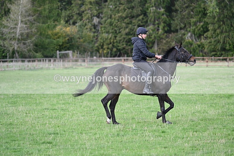 WJ7_9697 - Time 13:13 to 13:55