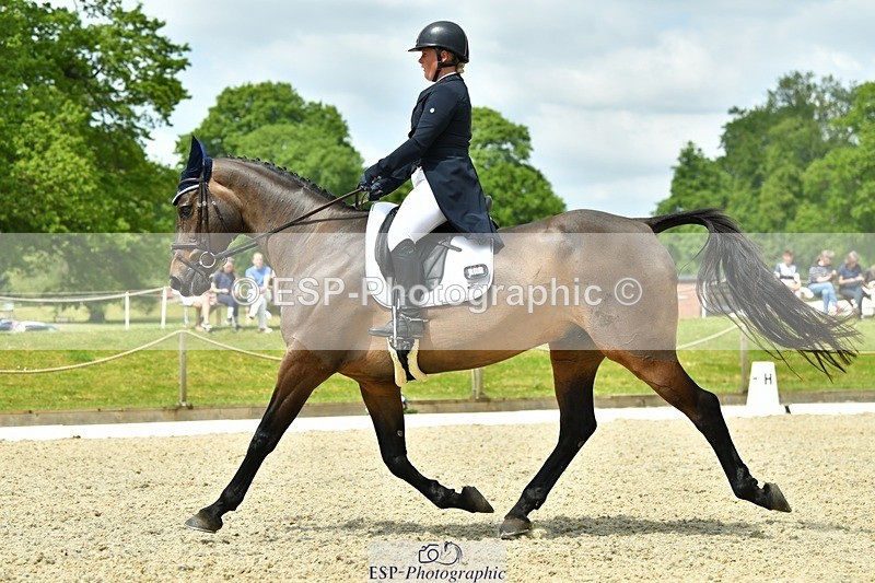 230525-121132-04197 - 207-TYNAN_COOLEY-Lucy_Stimson-WEDTrotUp+DR