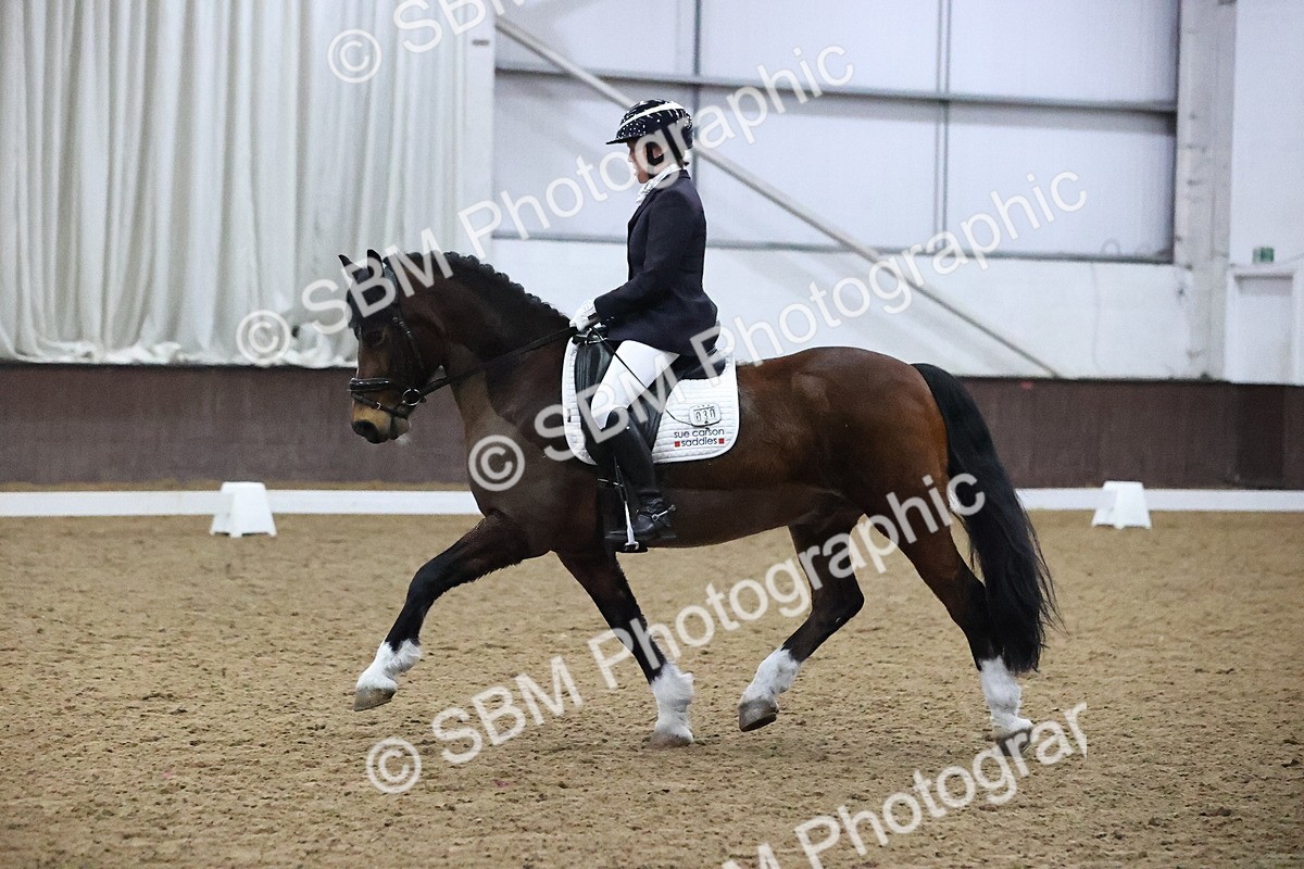 SBM_004522 - Class 8 - Medium 5