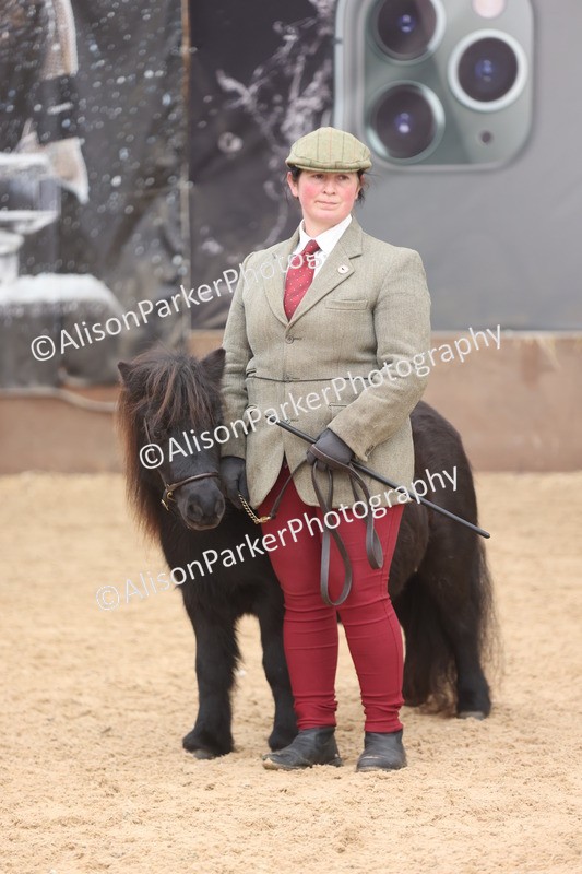 20251109-0340 - Class 13 - Mares 4 Years and Over