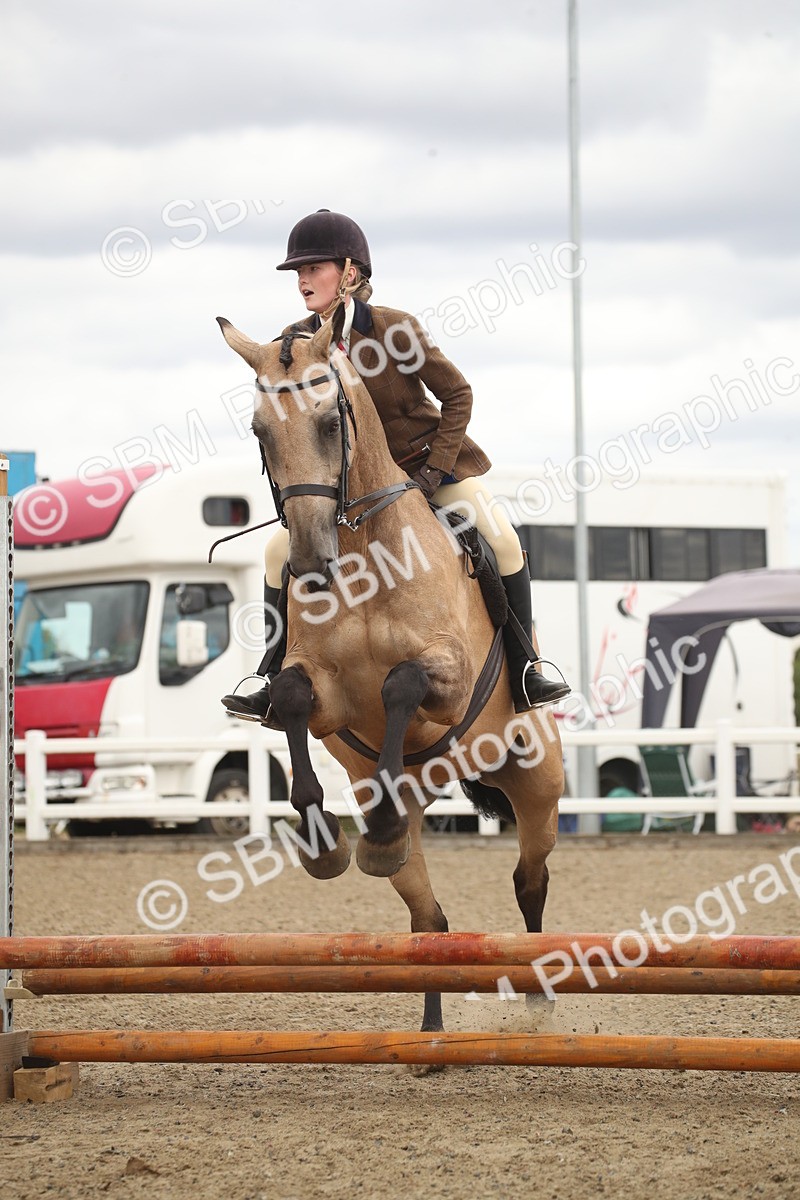 SBM_16658 - Class 507a - Working Veteran - 60cm (15-19)