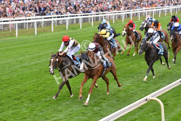 yr18082022r3-37 - Race 3 3.00pm Clipper Logistics Stakes