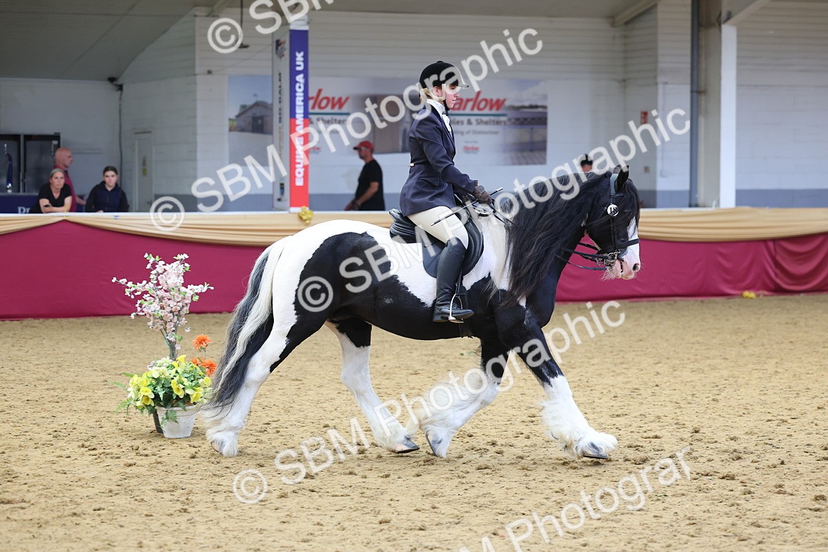 SBM_24428 - Class 906 - Supreme Final - Ridden Pre Vet