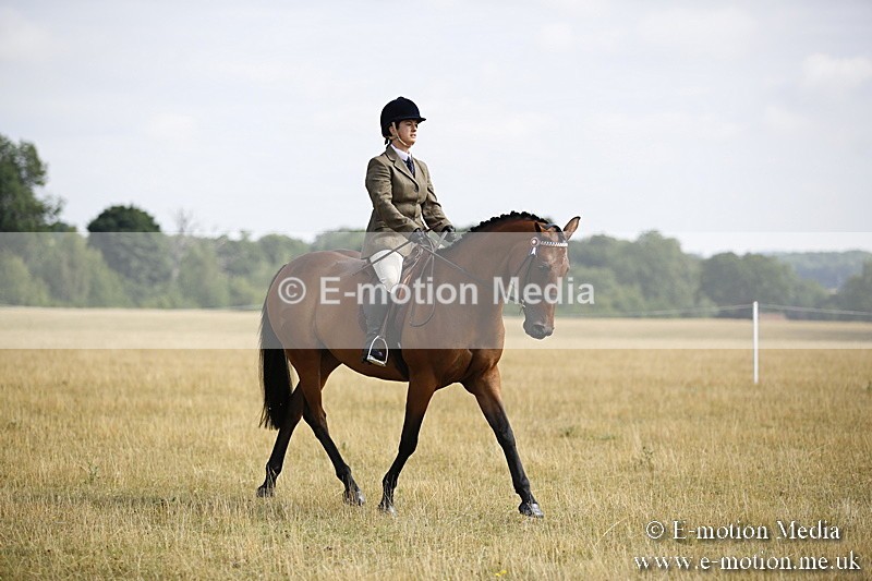 _C7A9303 - BVRC Show 2018 Ring 1