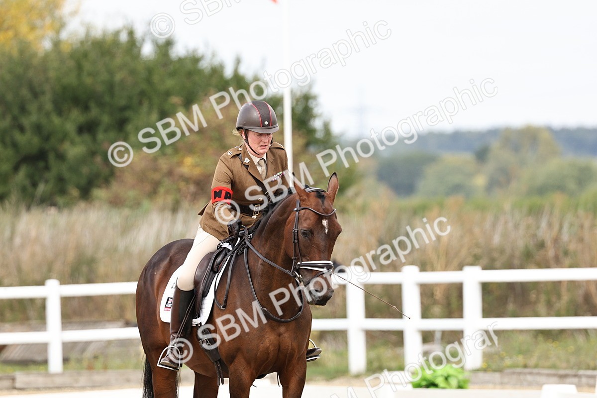 SBM_018313