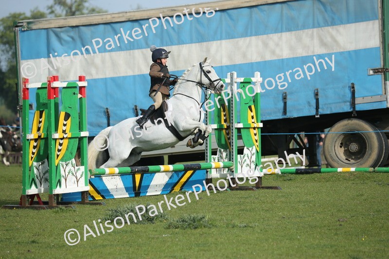 20260426-0124 - Class 13 - Rookie Jumping 50cm