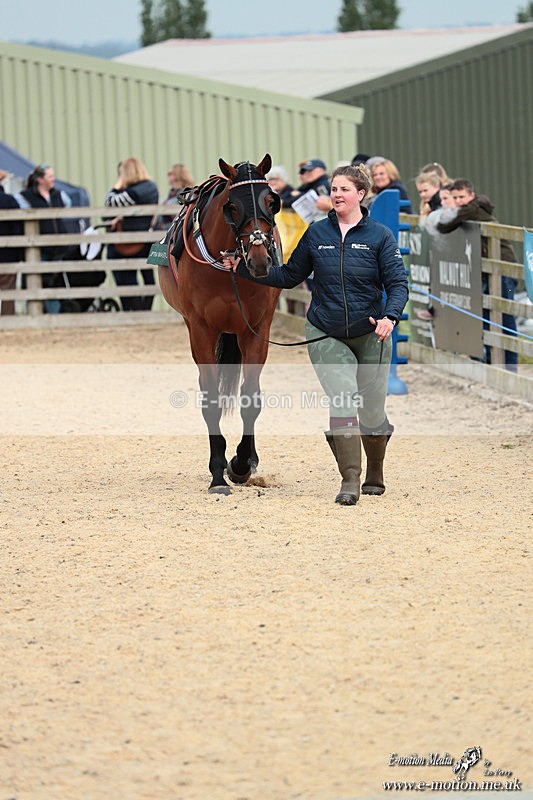 PtP 040526 418 - Mollington Point-to-Point 04/05/26
