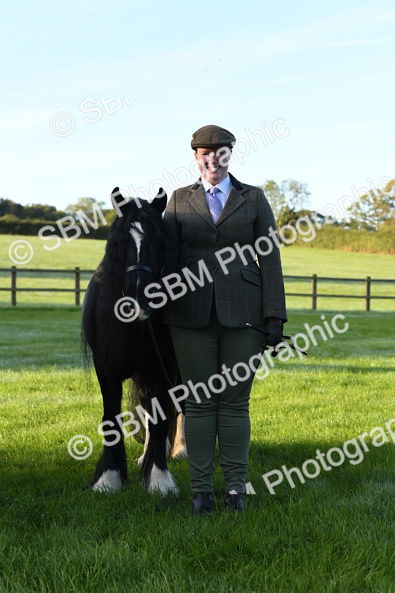 SBM_32659 - S15 - Condition & Turnout In Hand