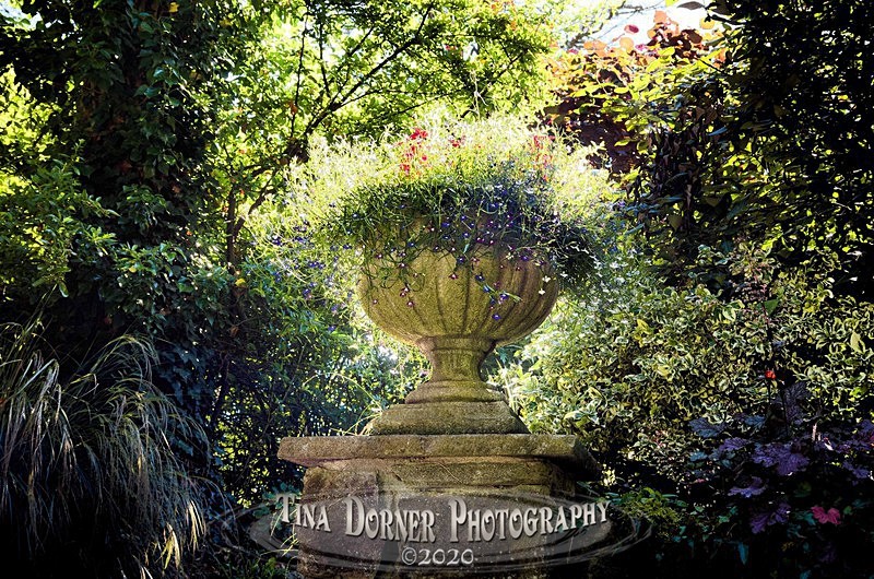 Urn at Dewstow Gardens - Plants & Flowers