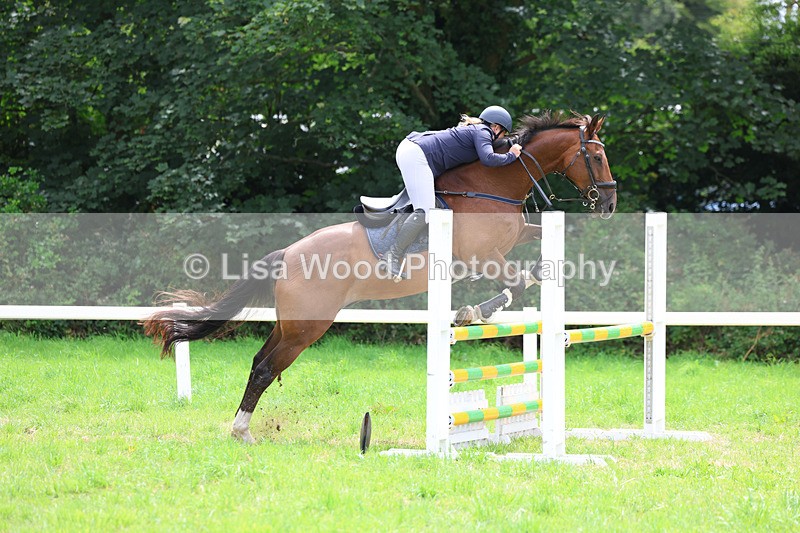 3E7A7333 - Class 5: Senior British Novice/90cm open