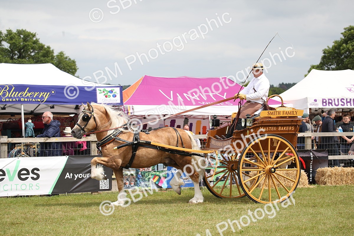 SBM_07016 - Class 16 - Light Trade