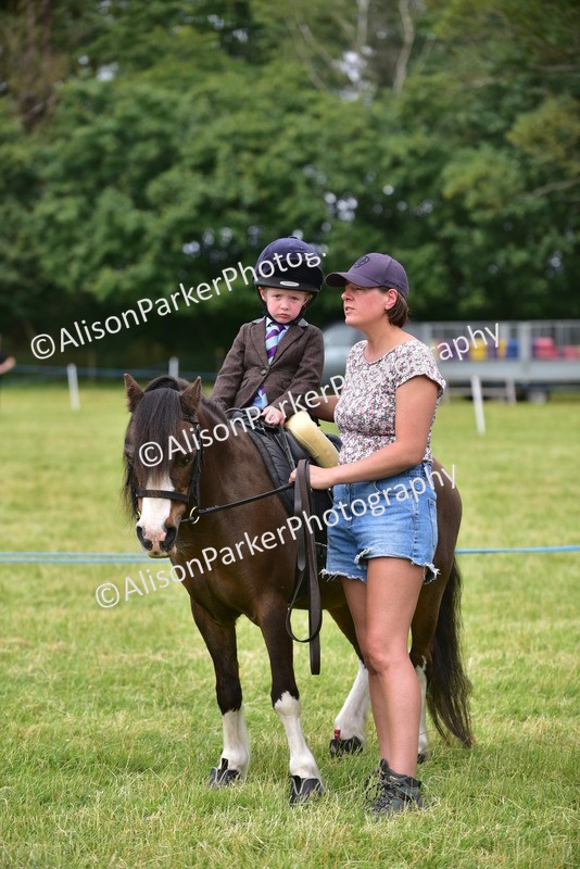20260614-3714 - Class 15 - Prettiest Mare