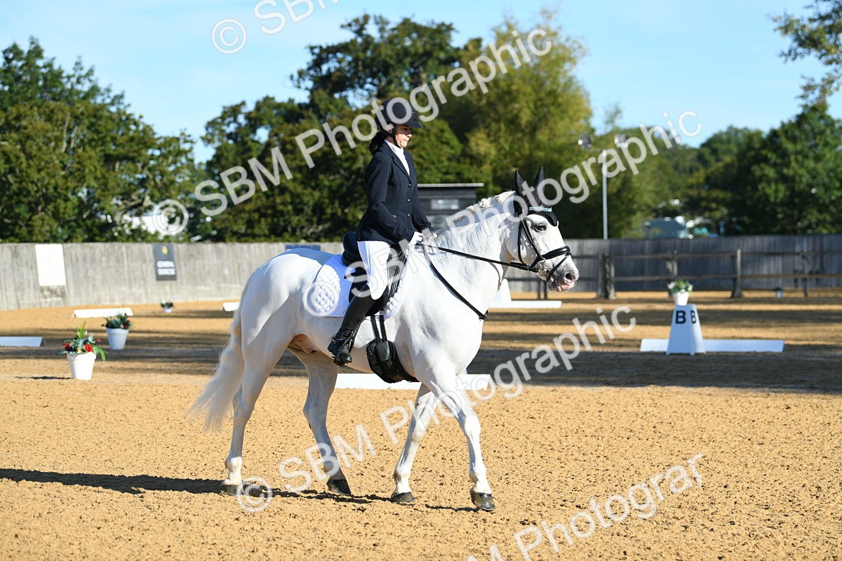 SBM_16106 - D4 - Small Tour Championship - Intro B