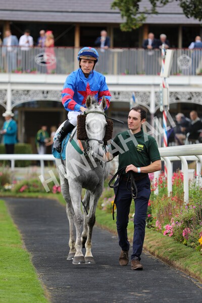 yr23072022r5-38 - Race 5 4.25pm Sky Bet UK's No1 Betting App Stakes