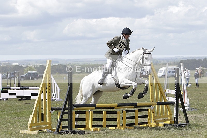 BVHT 140517 N-232 - Class 2 SJ Novice 14/05/17