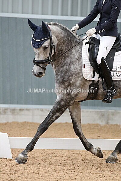 SIAL8299 - GDG Bogenraith Friday 26th Sept 2025