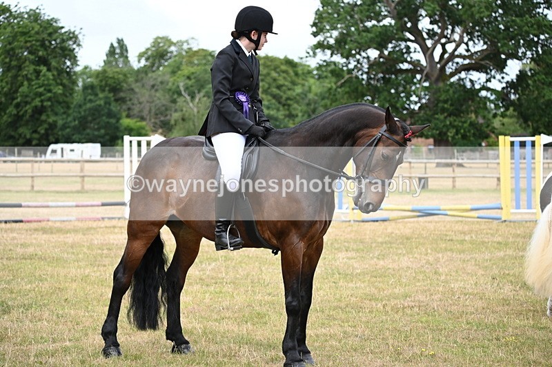 WJ6_4046 - Class 9 Tack & Turnout