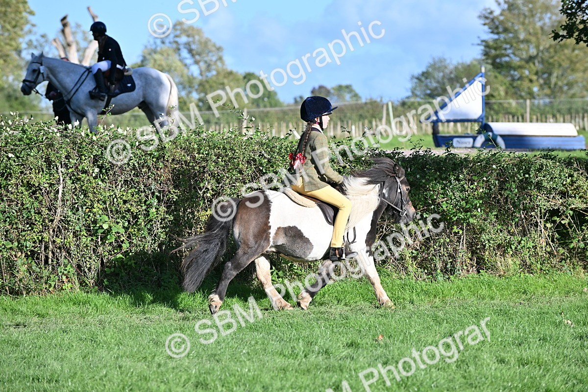 SBM_52989 - S23 - First Ridden Mountain & Moorland Pony