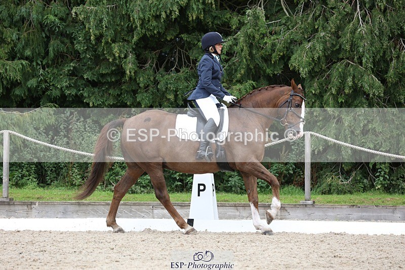 230812-135002-04324 - Cls 5 Novice Bronze 13.40 to 14.45 break