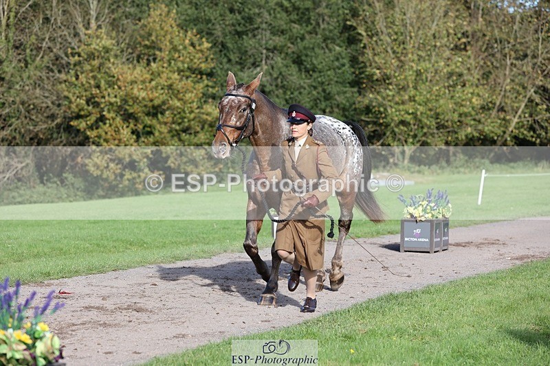 241027-102520-15878 - 501-Captain.Holly.Day-MUSTANG