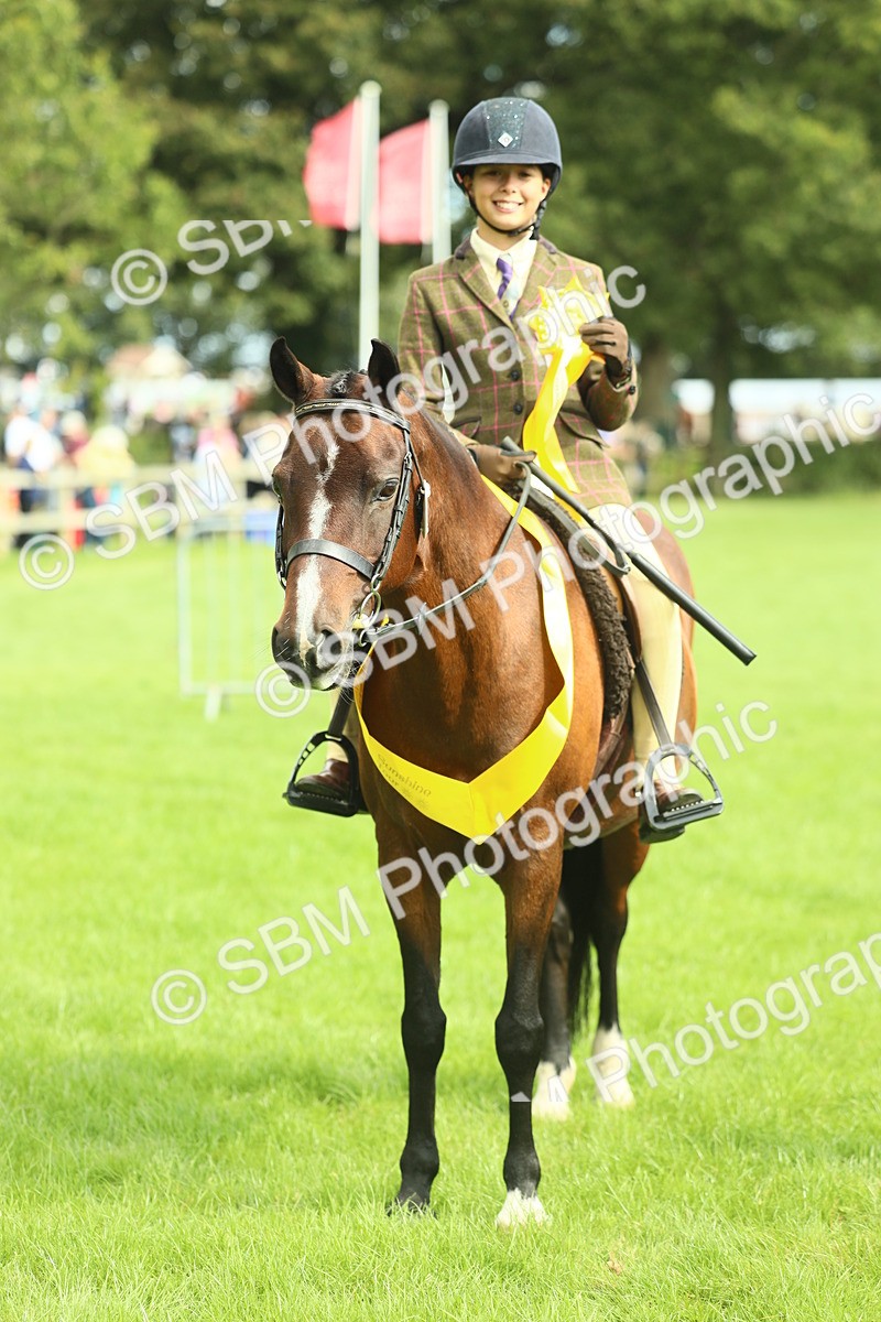 SBM_44818 - S31 - Working Hunter Pony