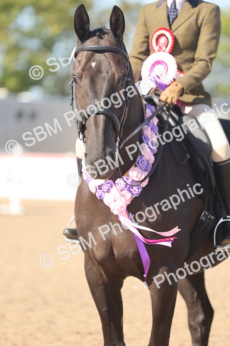 SBM_22693 - Class 805 - Ridden Veteran Horse