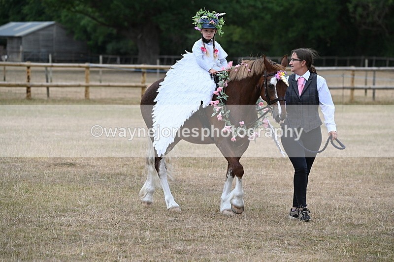 WJ6_8594 - Class 11 Fancy Dress