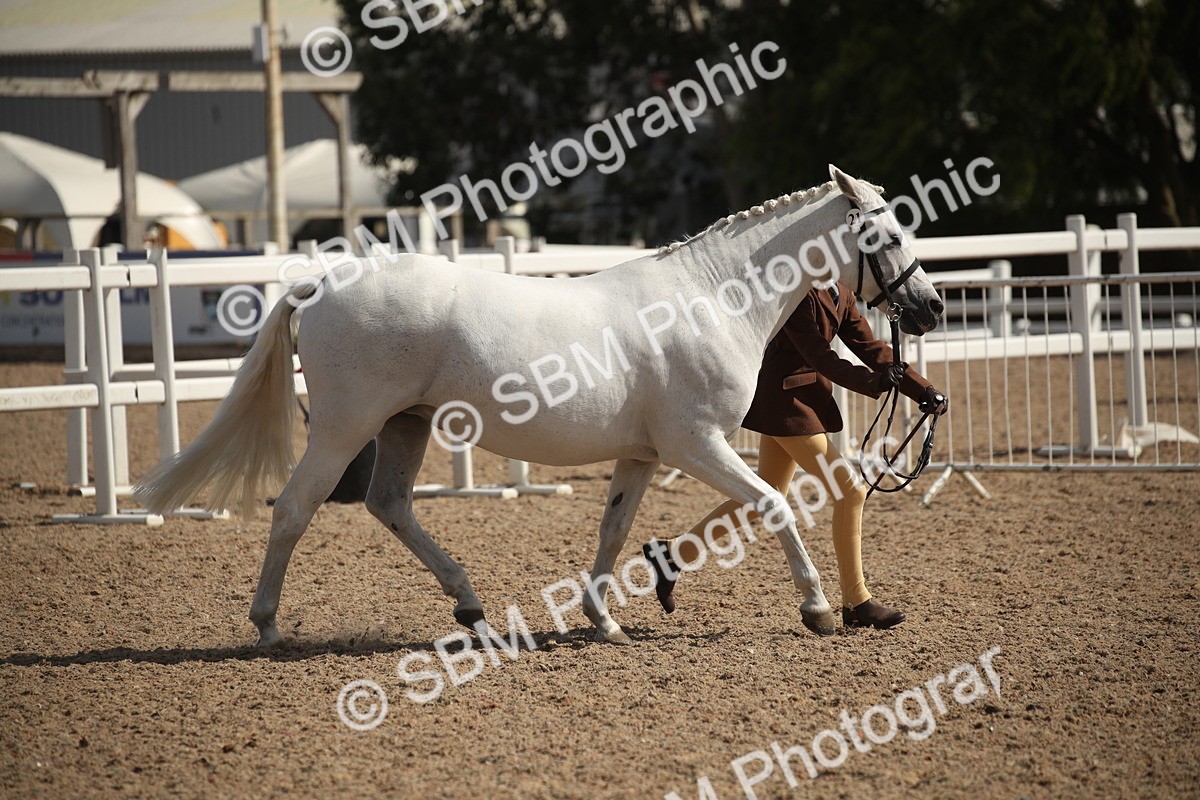 SBM_23562_Class 605 - 2026 - Area - IH Veteran - Vicky Gutteridge