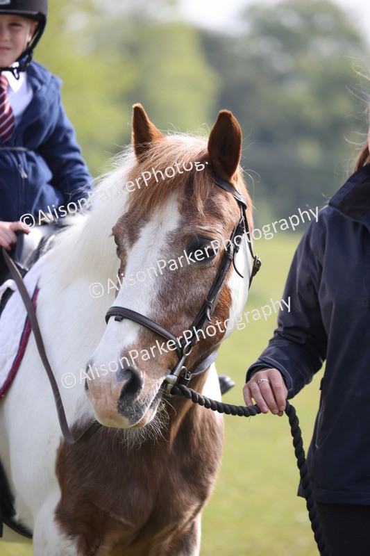 20260426-0404 - Class 30 - Tiny Tots Lead Rein