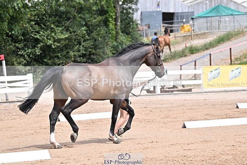 250716-125657-00244 - Trot Up 12.30 to 1.30