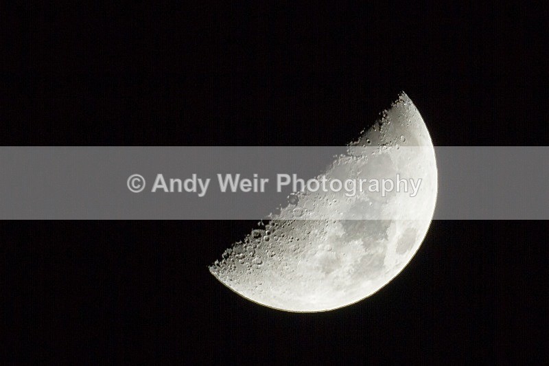 20120229-_MG_9222 - Miscellaneous Photographs