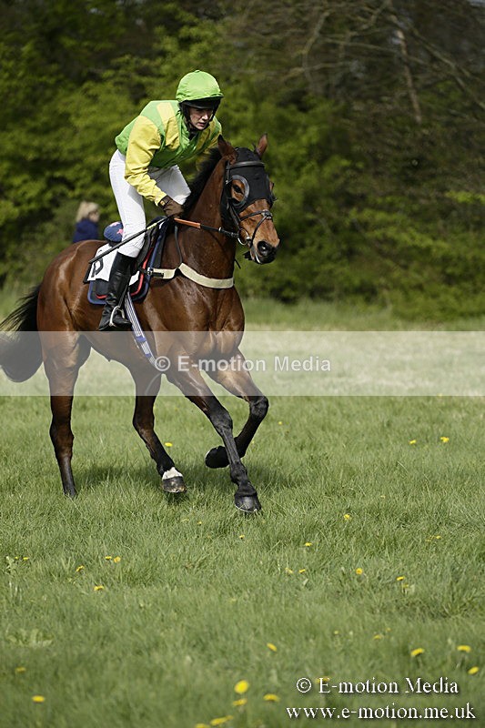 PtP 170417 275 - Old Berks Point-to-Point Lockinge 17/04/17