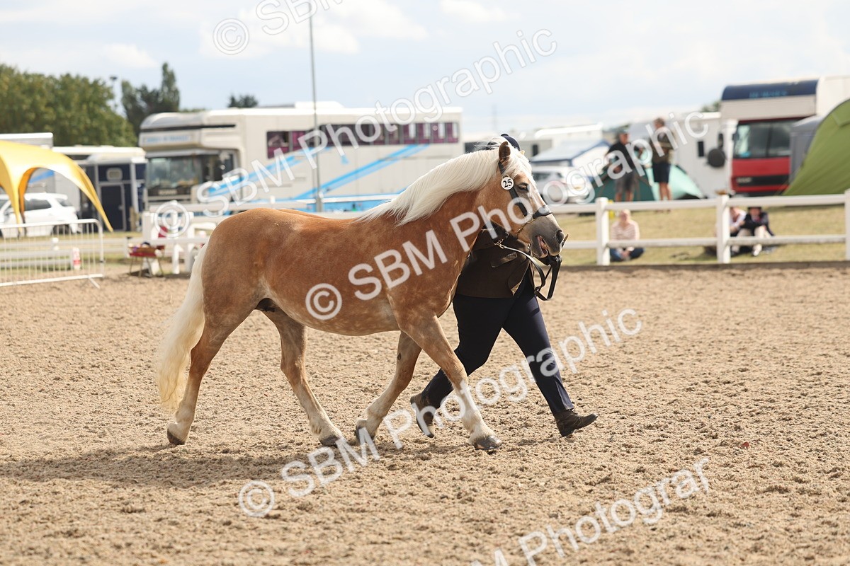 SBM_06883 - Class 25 - IH Foreign Breeds - Purebred