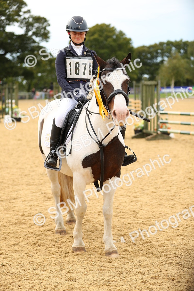 SBM_71314 - J18 - Junior Pony 85cm Championship