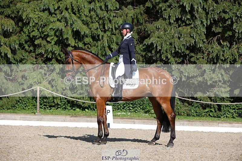 230526-172140-07959 - 177-ARGENTINO_BK-Dani_Evans-WEDTrotUp+DR