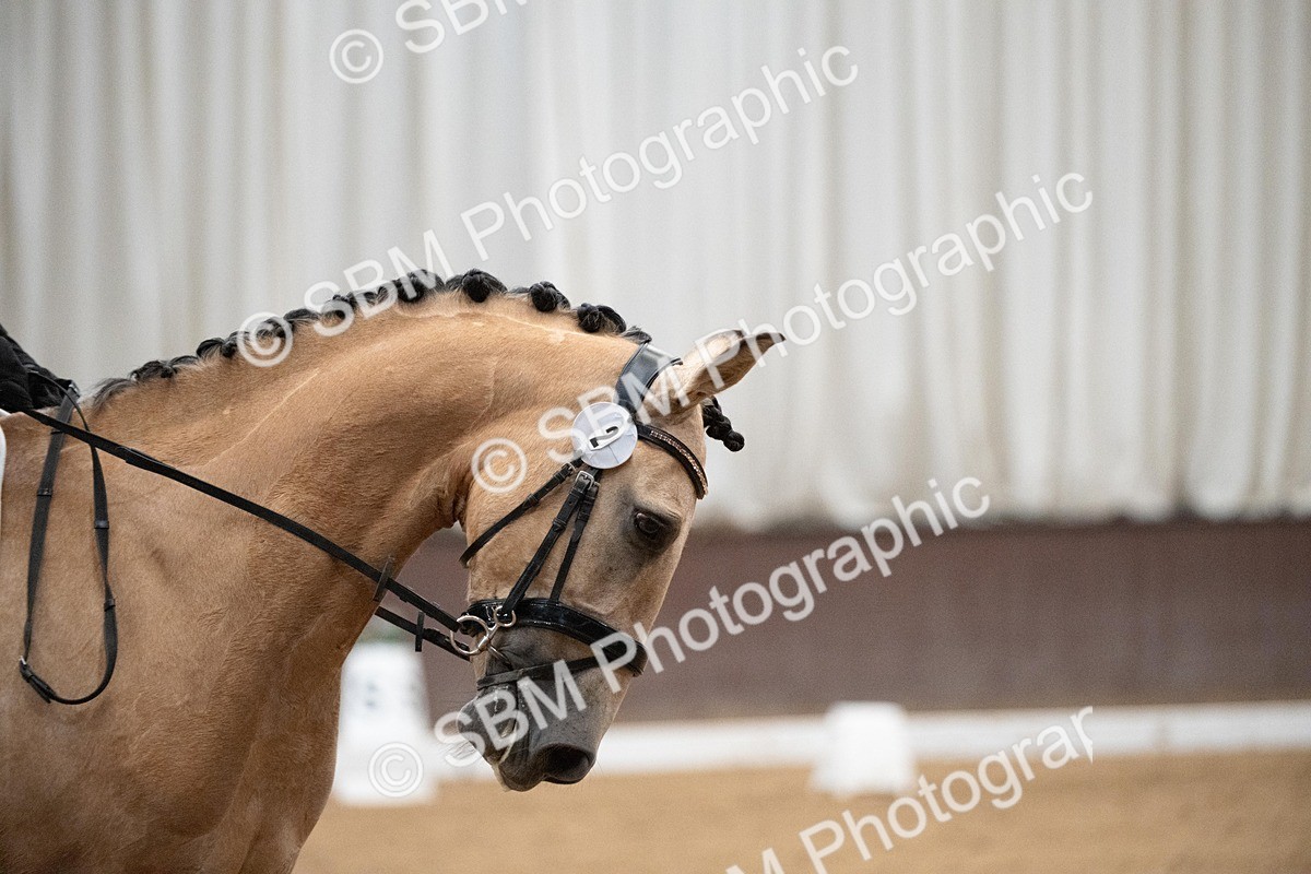 DSC_0931 - Class 2 - P4 (Now online)