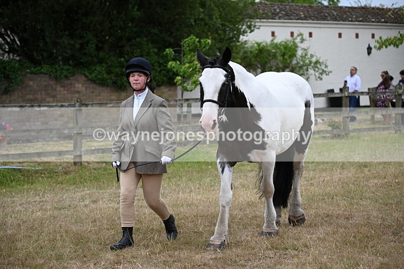 WJ6_8020 - Class 10 Coloured in Hand