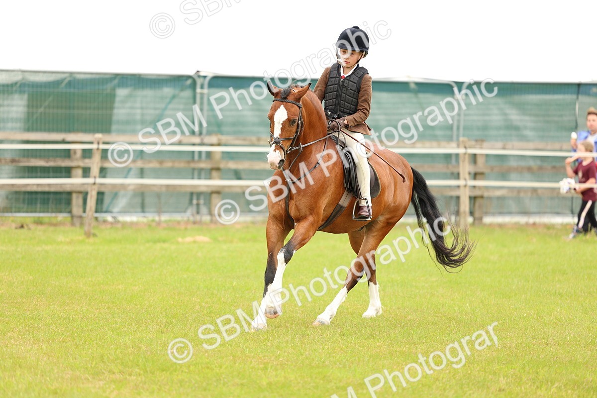 SBM_10228 - Class 44-45 - LIHS BSPS Open Nursery and Cradle Stakes