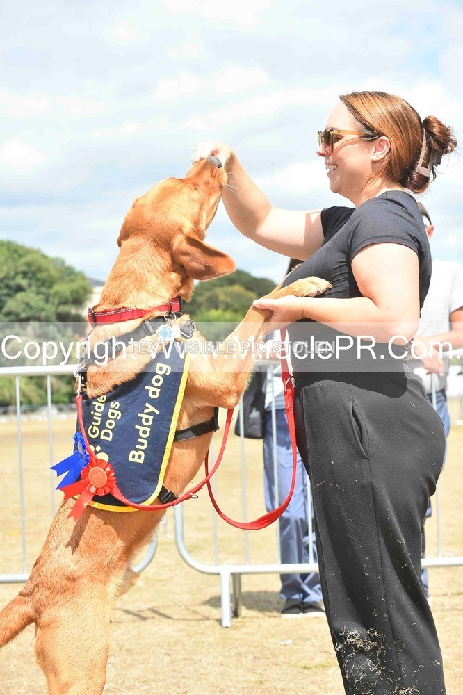 SH4_0256 - Dog show.