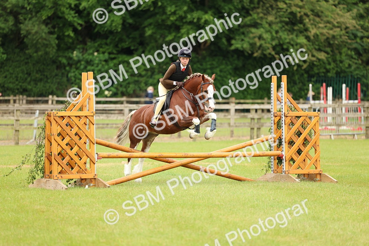 SBM_10353 - Class 44-45 - LIHS BSPS Open Nursery and Cradle Stakes