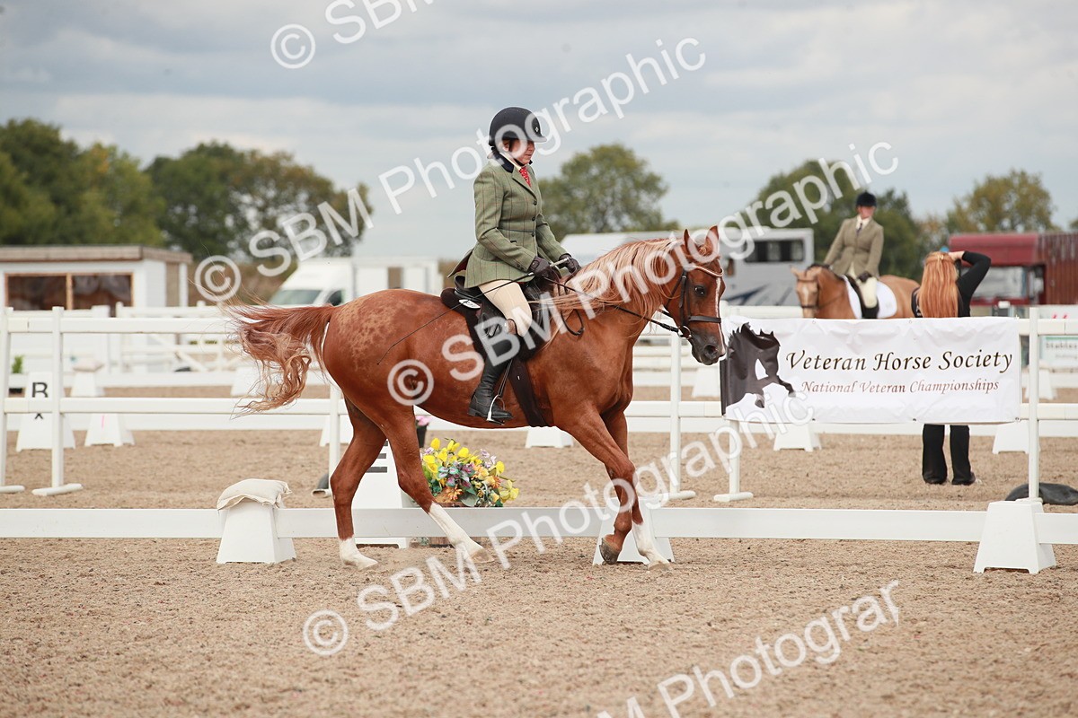 SBM_05997 - Class 32 - Novice 1