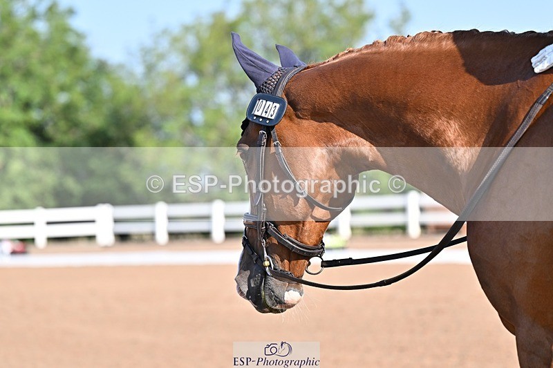 250816-090330-02158 - 043-Camilla.StevensAngelica